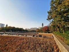 -合肥生态公园