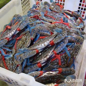 【海南-琼海】海鲜自由季 海南的魅力不仅在于它四季