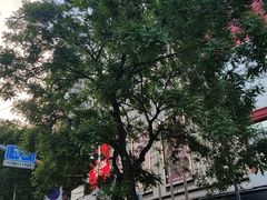 -万达广场(沈阳铁西店)