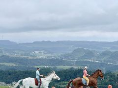 -龙里油画大草原旅游区