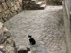 -穹窿山景区