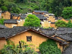 -杨家堂村