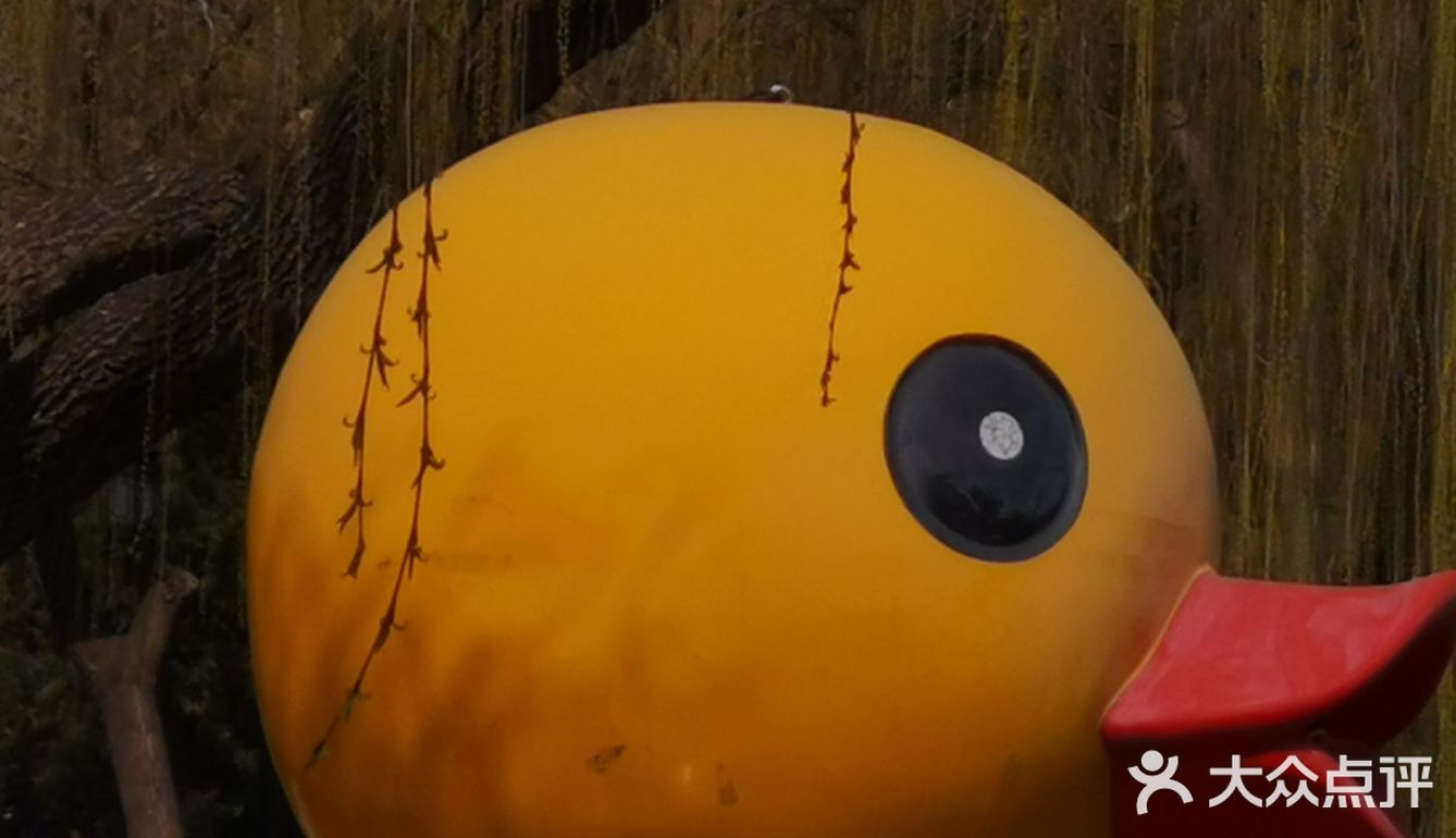 天气不错，又是一年的春天