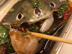 -圆蛋酒料•生腌(开元路店)