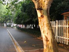 -古荡新村东区