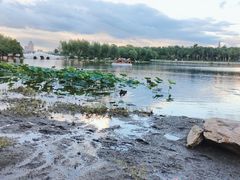 -长春市南湖公园