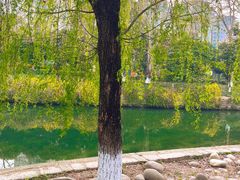 -沙河三洞古桥公园