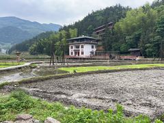 -紫鹊界梯田景区