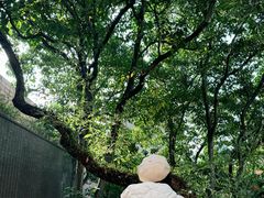 -香港大学