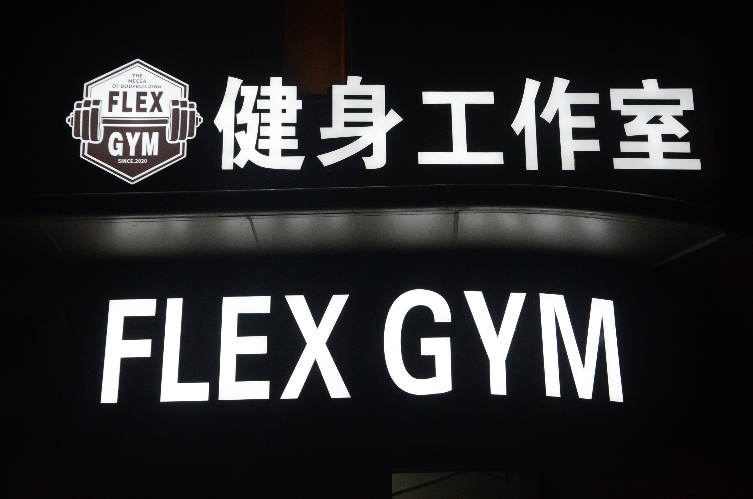 宠物狗狗的日常萌