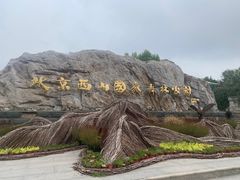 -北京西山国家森林公园