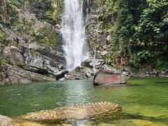 -鼎湖山风景区