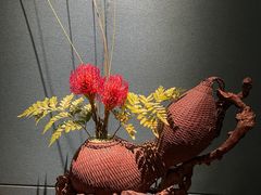 -觀芷隐轩