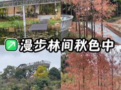 -福道