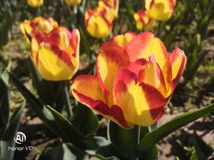 -长春公园(普阳街道)