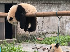 -人民解放纪念碑
