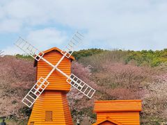 -苏州上方山国家森林公园