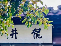 -嘉龙茶庄