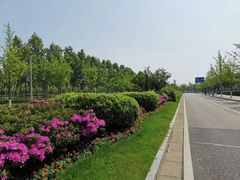 -尚贤河湿地