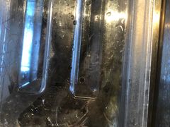 -青蓬蒸汽海鲜·深圳老字号·团建聚会(壹方城店)