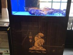 水产区-皇朝会.经典传统粤菜(外滩店)
