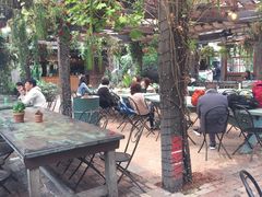 -The Grounds of Alexandria
