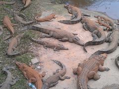 -广东茂名森林公园