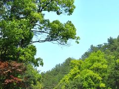 -缙云山景区