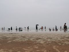 -日照海滨国家森林公园