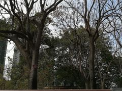 -成都市活水公园