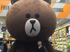 -line friends(明洞旗舰店)