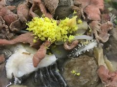 -潮镇老尾牛杂(环城西路店)