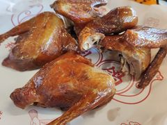 -百利鸽王(紫薇路店)