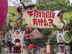 -灵玲国际马戏城