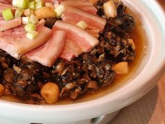 -诺莱仕游艇会