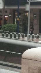 -八佰伴8008星级形象店