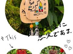 -萍乡武功山风景名胜区