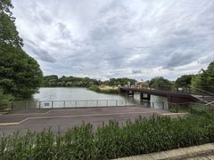 -梁鸿国家湿地公园