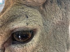 -鄂尔多斯野生动物园