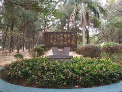 -宋井风景区