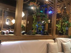 -云海肴·汽锅鸡·云南菜(天津国金汇店)