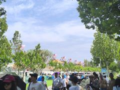 -渔岛海洋度假区