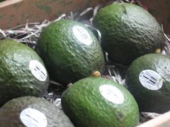牛油果-鲜力达果品批发直销(青山店)