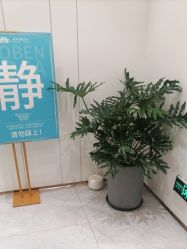 -奥本瑜伽·普拉提
