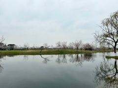-良渚古城遗址公园