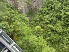 -鹿院坪生态旅游景区