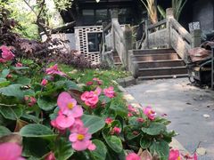 -大妙火锅·非物质文化遗产(东湖公园店)