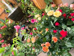 -园林美食城·本土农家菜(杨和镇店)