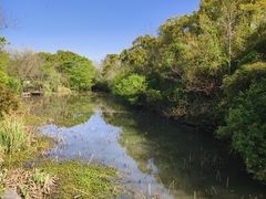 -上海海湾国家森林公园