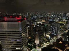 -新加坡瑞士史丹福酒店